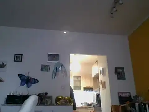 Snapshot of 82liska chatting on 11-09-25, 11:19 82liska online show from 11-09-25, 11:19