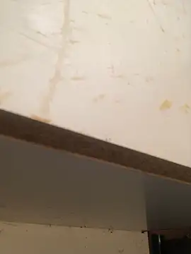 foxiks online show from 04-09-26, 11:37