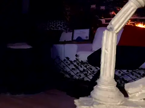 Snapshot of OSIRlS chatting on 01-01-25, 12:00 OSIRlS online show from 01-01-25, 12:00