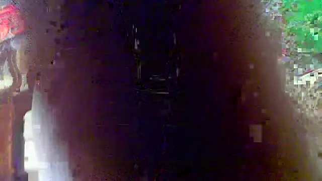 Snapshot of OSIRlS chatting on 03-23-26, 11:03 OSIRlS online show from 03-23-26, 11:03