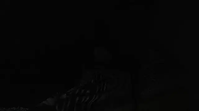 Snapshot of BELINDAXXXXX chatting on 12-13-24, 08:04 BELINDAXXXXX online show from 12-13-24, 08:04