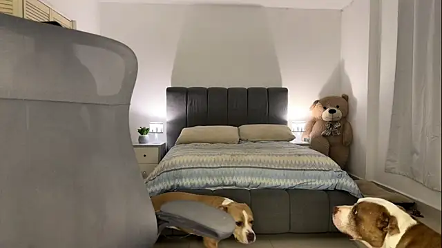 Snapshot of nurbanu_hatem chatting on 02-13-26, 08:43 nurbanu hatem online show from 02-13-26, 08:43