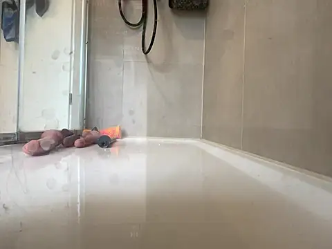 angelus112 online show from 03-29-26, 03:56