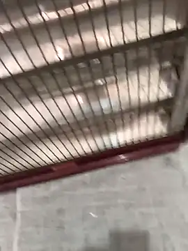 mustican422 online show from 10-25-25, 11:07