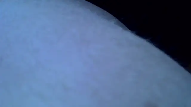 Mariomario0565 online show from 01-31-25, 08:11