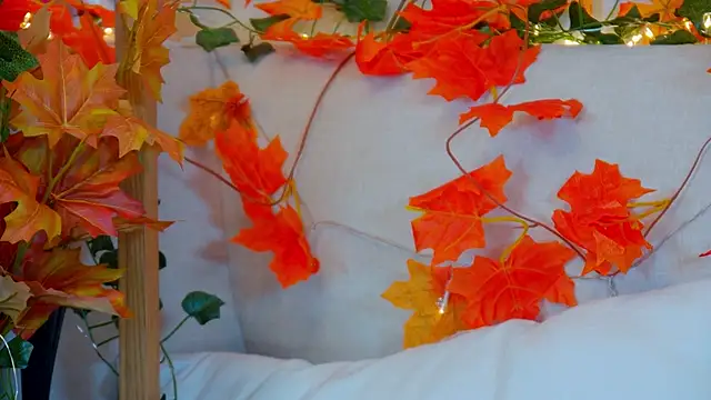 ElisabethDavis online show from 10-12-25, 03:11