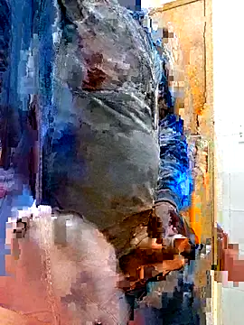 Jeffikuis online show from 09-23-25, 03:31