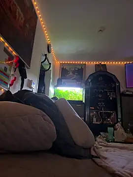 Toyjungee online show from 02-03-26, 08:08