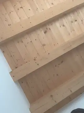 Fellix online show from 02-24-25, 11:43