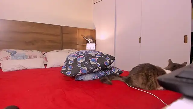 emily adams01 online show from 02-27-25, 12:43