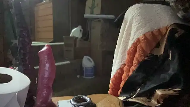 44jon44 online show from 11-26-25, 03:40