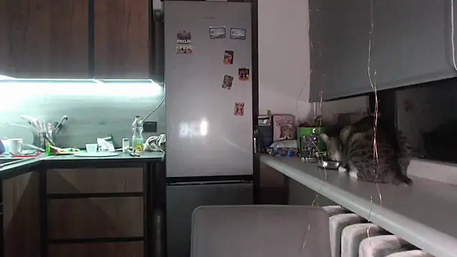 Snapshot of delightful_sofi chatting on 09-28-25, 07:19 delightful sofi online show from 09-28-25, 07:19