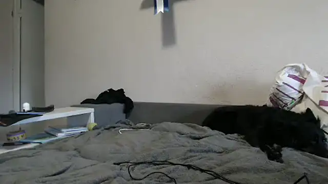 Snapshot of delightful_sofi chatting on 10-09-25, 02:26 delightful sofi online show from 10-09-25, 02:26