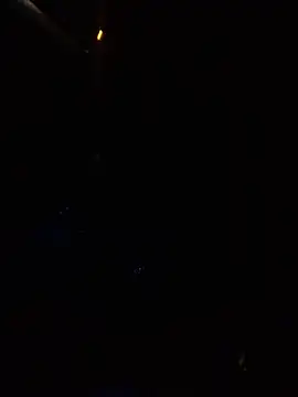 Snapshot of Likewise chatting on 01-25-25, 11:55 Likewise online show from 01-25-25, 11:55