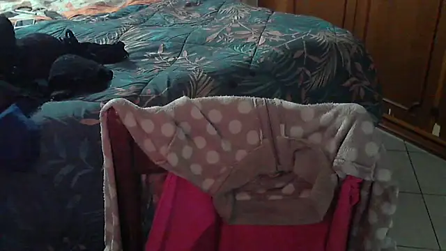 Snapshot of stellin chatting on 02-17-26, 04:57 stellin online show from 02-17-26, 04:57