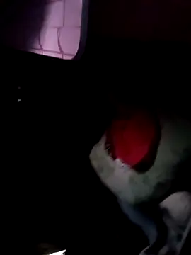 Snapshot of 121fff chatting on 10-09-25, 09:40 121fff online show from 10-09-25, 09:40