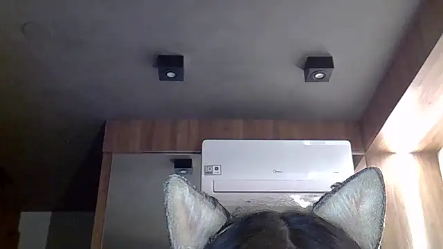 Skinny-Kitten online show from 12-19-25, 11:23