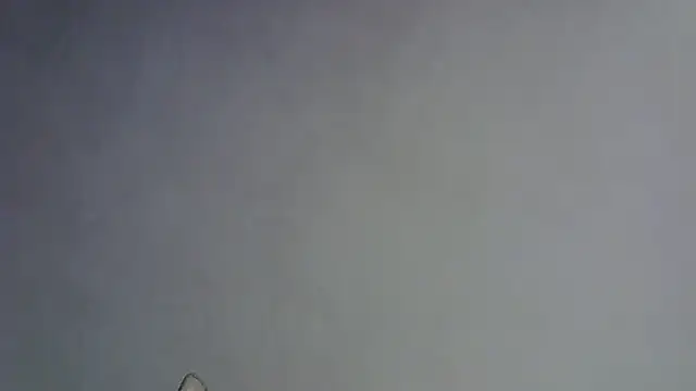 Skinny-Kitten online show from 01-16-26, 05:28