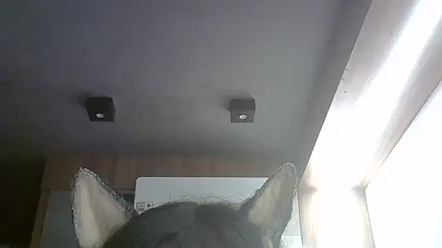 Skinny-Kitten online show from 03-09-26, 03:43