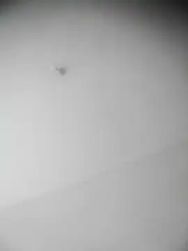 bestofyalcinturkey online show from 12-03-24, 12:49