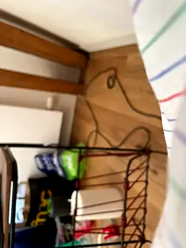 Snapshot of la_chiennete chatting on 09-27-25, 01:05 la chiennete online show from 09-27-25, 01:05