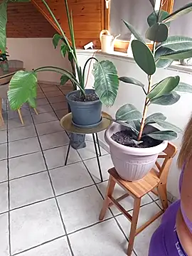 Isabellaa04 online show from 05-17-26, 11:17