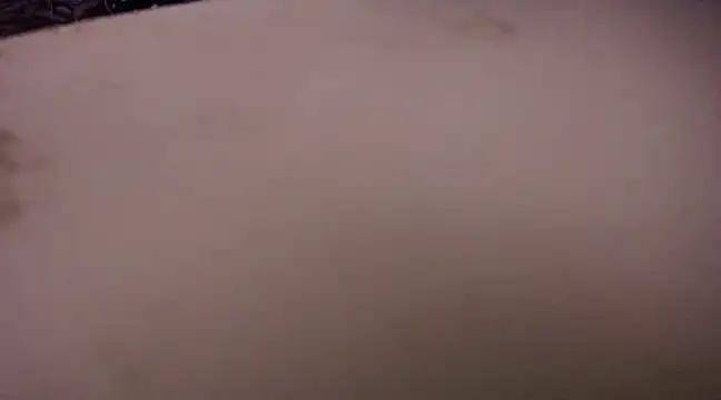 yselahot online show from 02-13-25, 11:47