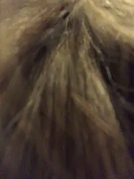  Sweet Love  online show from 03-29-26, 01:00