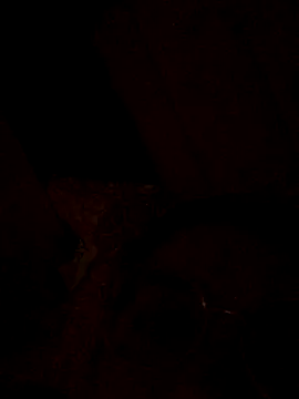 nalalye cruzz  online show from 09-29-25, 02:27