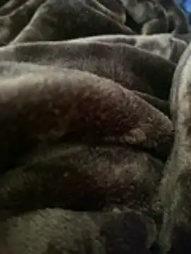 ft2022W online show from 03-07-26, 06:16