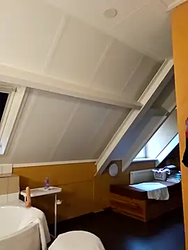 MarleneBloem online show from 12-31-24, 01:52