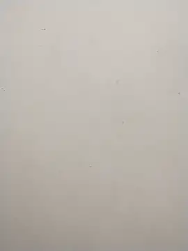 Shuttii 25 online show from 12-25-24, 06:20