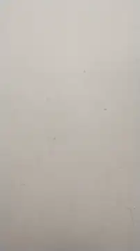 Shuttii 25 online show from 01-25-25, 10:08