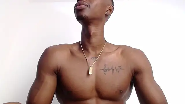 drake brwon 23 online show from 10-01-25, 01:39