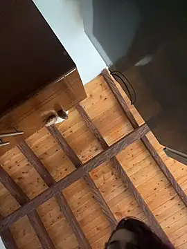 Snapshot of Alicia_Ruiz chatting on 12-12-24, 09:04 Alicia Ruiz online show from 12-12-24, 09:04