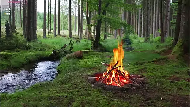 Snapshot of rusbigpaul chatting on 02-12-25, 07:13 rusbigpaul online show from 02-12-25, 07:13