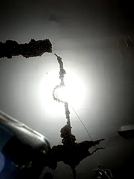 ColdVisitor online show from 02-06-26, 01:32