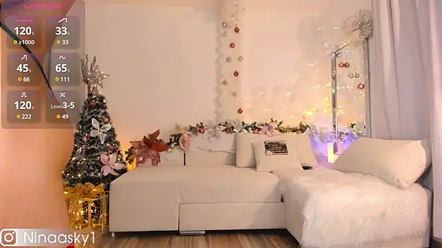 Snapshot of ninaa_sky chatting on 12-30-24, 06:20 ninaa sky online show from 12-30-24, 06:20