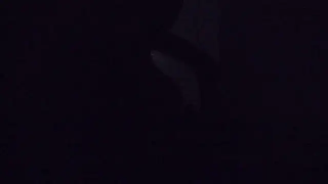 SouTarado69 online show from 03-21-25, 11:45