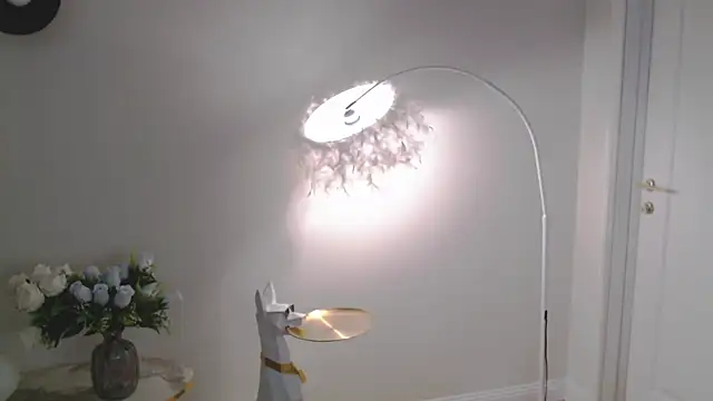 Snapshot of VeliaSai chatting on 07-02-26, 03:23 VeliaSai online show from 07-02-26, 03:23