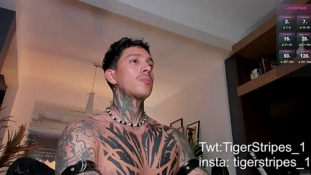 Snapshot of TigerStripes1_ chatting on 02-22-25, 01:11 TigerStripes1 online show from 02-22-25, 01:11