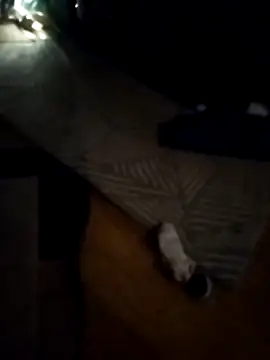 Snapshot of Murzyn85xxx chatting on 11-30-25, 01:53 Murzyn85xxx online show from 11-30-25, 01:53