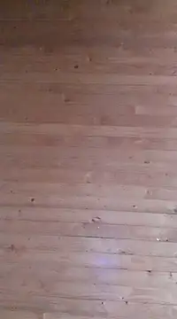 aliosa23 online show from 01-21-25, 11:35