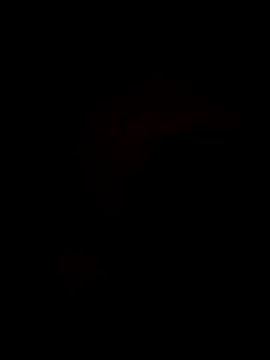 Snapshot of Bella-Tight chatting on 10-30-25, 10:43 Bella-Tight online show from 10-30-25, 10:43