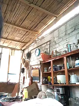 Snapshot of kvr27 chatting on 11-28-25, 11:35 kvr27 online show from 11-28-25, 11:35