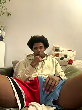 Snapshot of Kokinou chatting on 11-17-25, 01:33 Kokinou online show from 11-17-25, 01:33