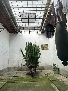 oliver price1 online show from 02-17-26, 03:08