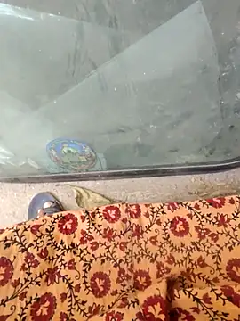 Kolkata   Boy online show from 02-18-25, 08:27