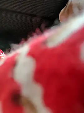 Kolkata   Boy online show from 11-16-25, 05:46